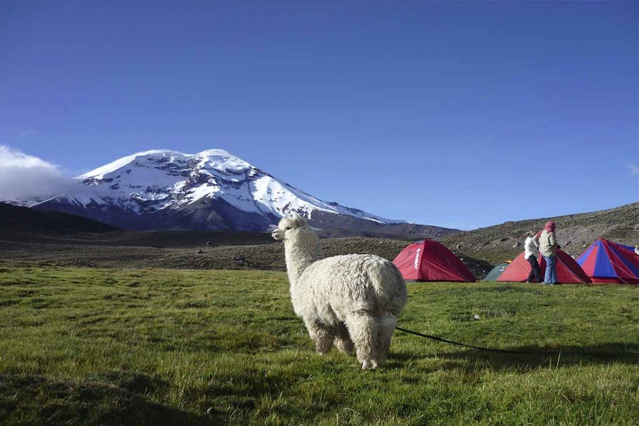 Genießen Sie die spektakuläre Andenlandschaft wärend Trekkingtouren