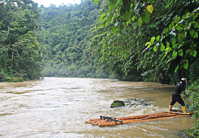 Raft at the river