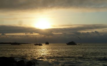 Durante su Island Hopping tour en Santa Cruz y San Cristobal usted puede observar maravillosas puestas de sol.