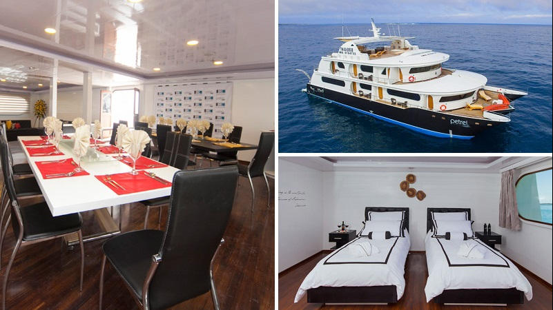 Descubra las Islas Galapagos en un maravilloso crucero con el yate de lujo Seastar.