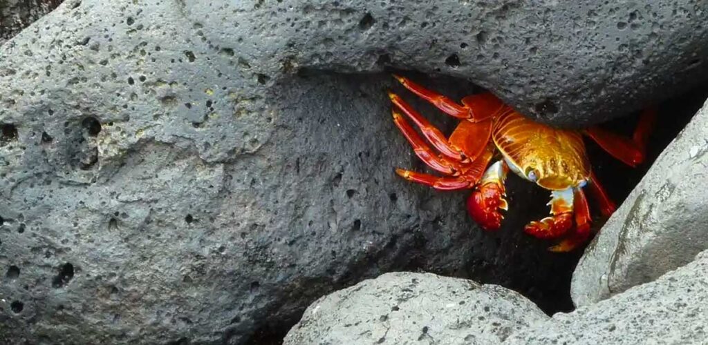 Isla Santiago Galápagos | Viajes a Ecuador y Galapagos