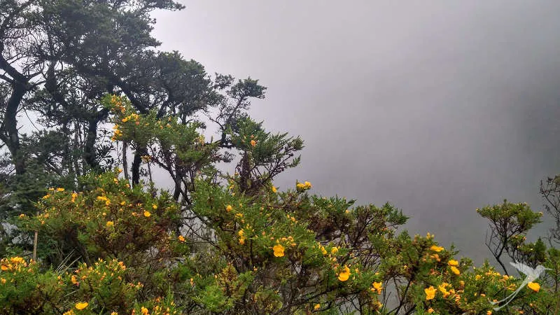 The Yanacocha reserve is located in the cloud forest region of Ecuador.
