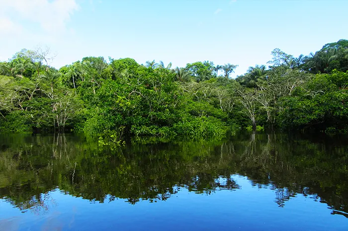 reserva cuyabeno, Amazonia Ecuador