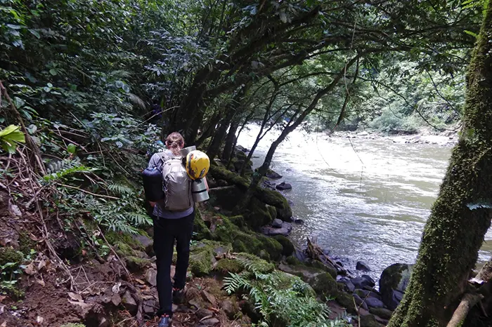 caminata a lo largo de un río en el Amazonas de Ecuador