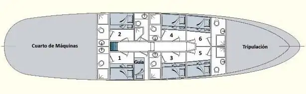deckplan Samba lower deck