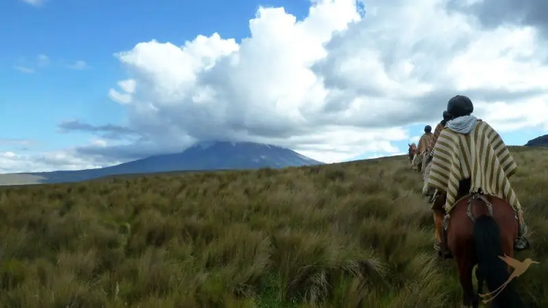 You can also discover the Andes on horseback