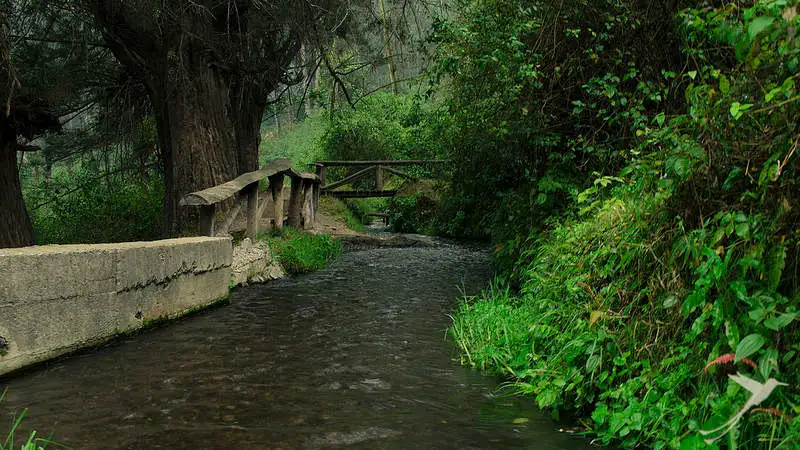 The Peguche natural reserve is a recreational area near Otavalo