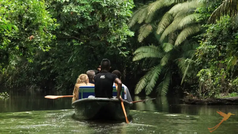Excursión en bote por un río del Parque Nacional Yasuní