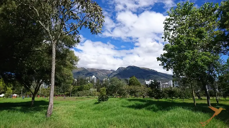 Carolina Park is one the parks along Amazonas avenue