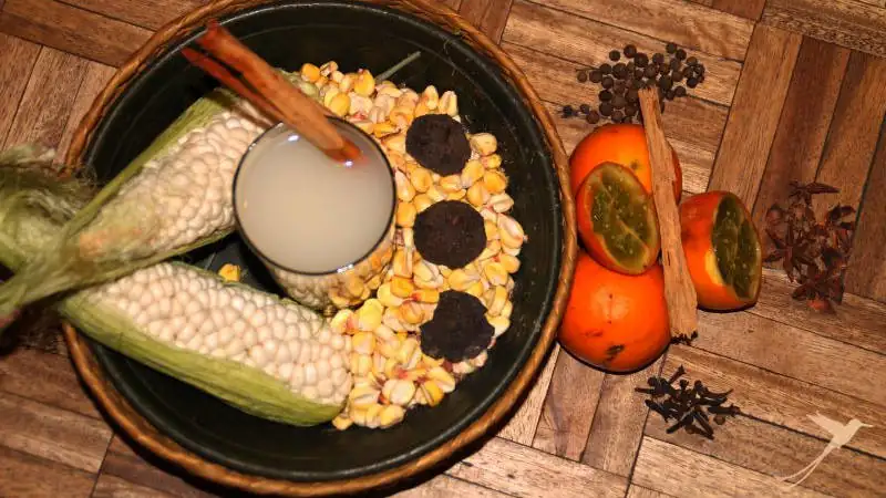 Chicha was originally made of chewed cereales