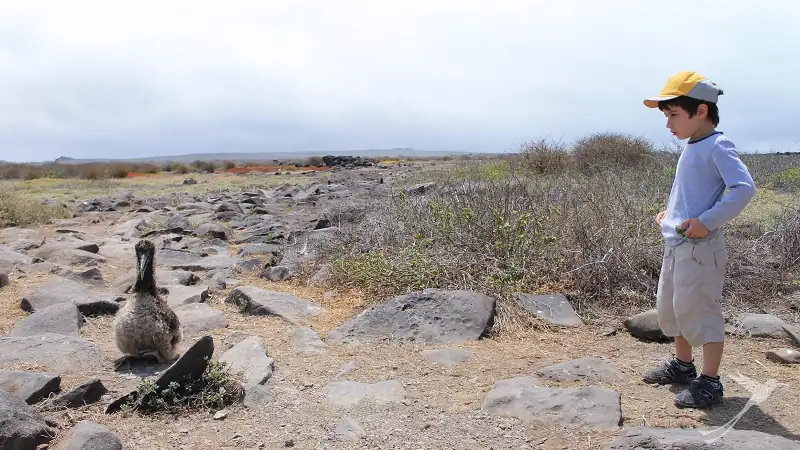 the Galapagos Islands are an ideal destination for kids - there is so much to explore