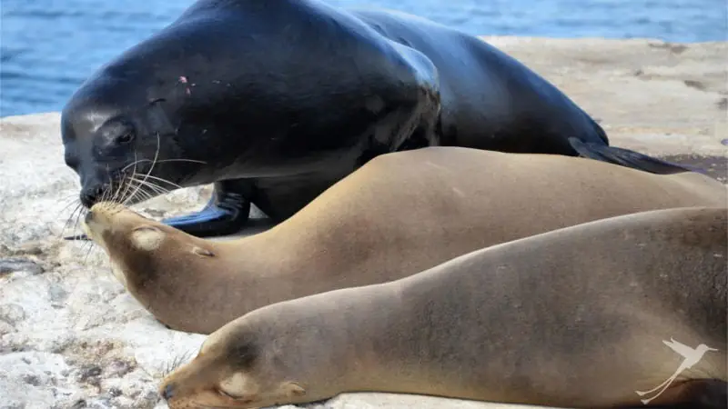 Enjoy your stay on the Galapagos Islands