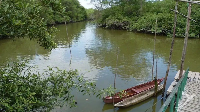 The Ecological Reserve Cayapas Mataje in the province of Esmeraldas is really amazing.