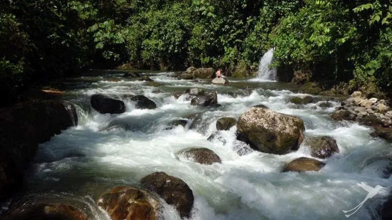 Mindo in the ecuadorian cloud forest has alot to offer