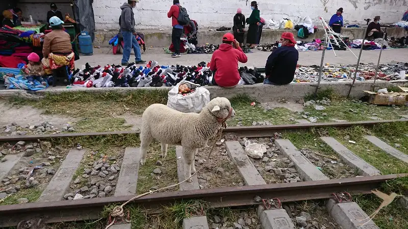 The market of Guamote is still authenic