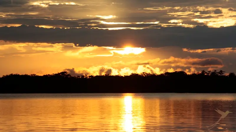 puesta de sol sobre la Laguna Grande en Cuyabeno