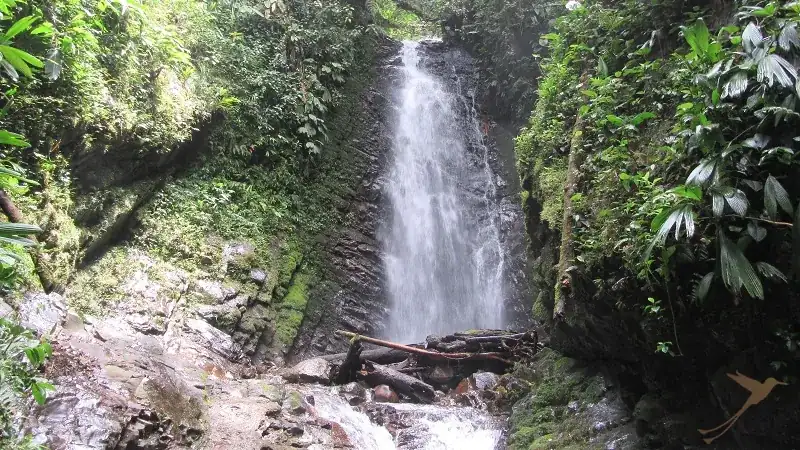 on e of the waterfalls of Mindo