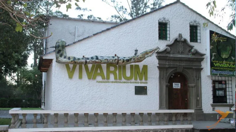 In the Carolina Park you can find the Vivarium