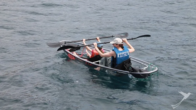 Glass Bottom Kayak Galapagos