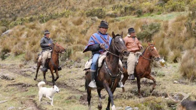 Discover the Andes on horseback.