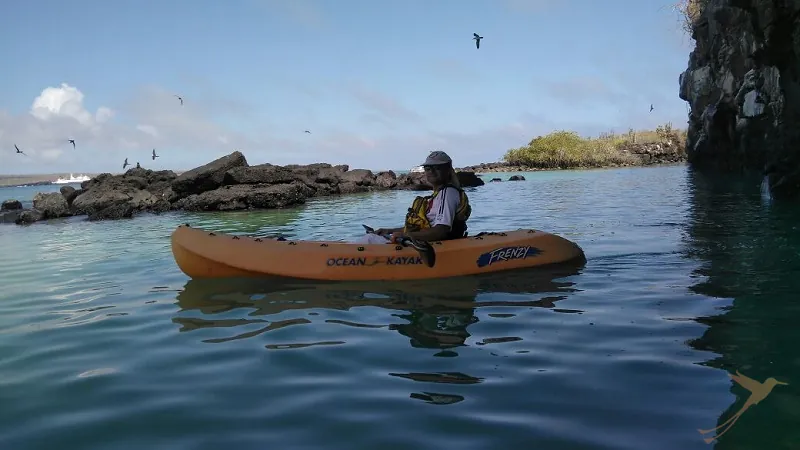 Observe the amazing wildlife of the Galapagos during this kayak tour