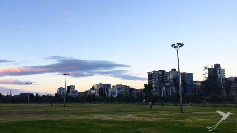 The Carolina Park is an important recreation area in the north of Quito
