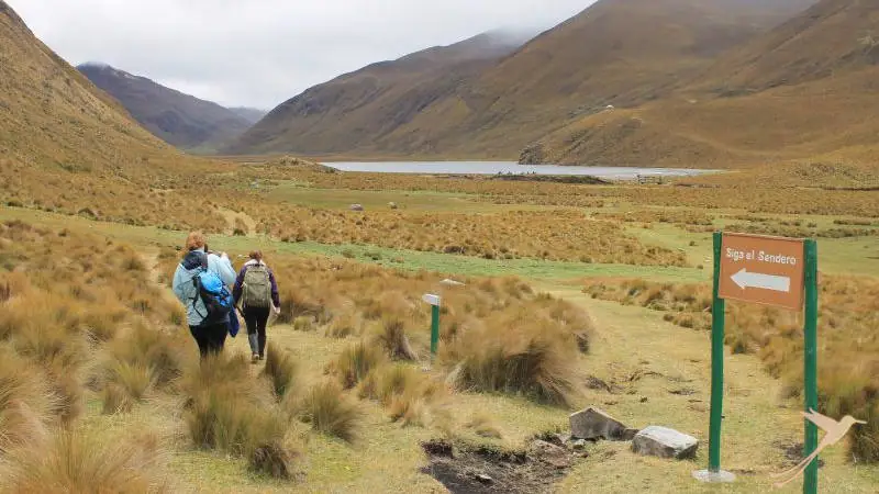 Discover the Culebrillas laguna on hikes through the paramo.