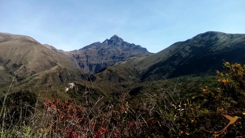 The volcano Cotacachi is the closest to the Cuicocha crater lake