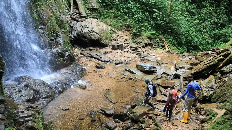 waterfall near the Mashpi Lodge