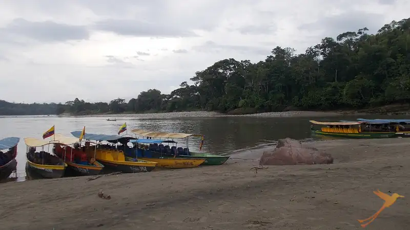 Boats on the Río Napo near Mishuallí
