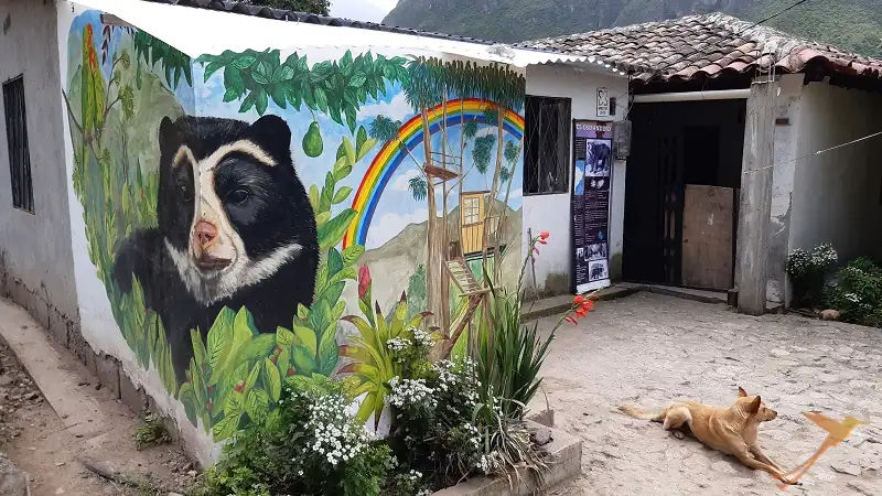andean bear viewpoint owners house