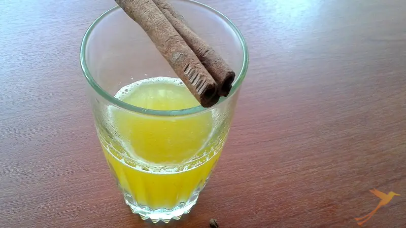 Typical drink Canelazo with cinnamon