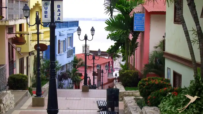 Cerro Santa Ana: view on the Guayas River -Ecuador