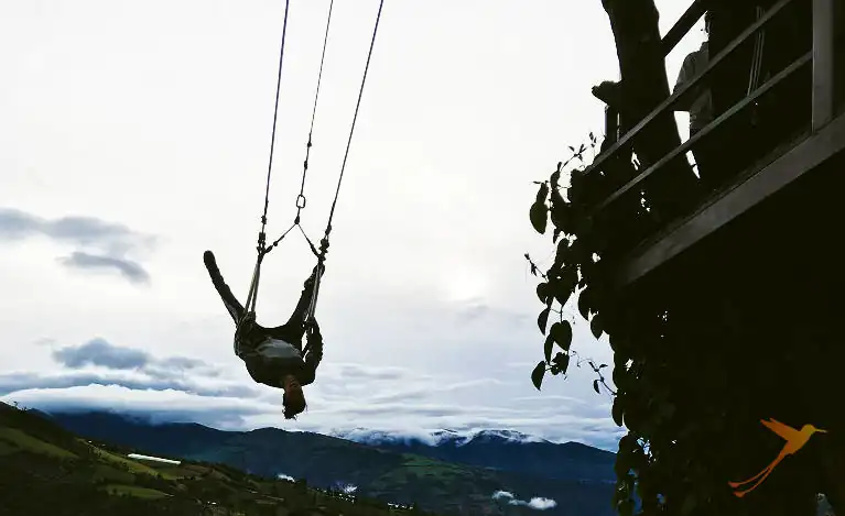 Adrenaline with the swing of the end of the world