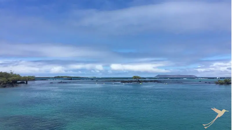 Concha de Perla is an ideal snorkeling place.