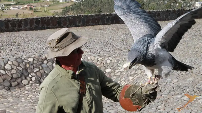 show in the condor park near Otavalo