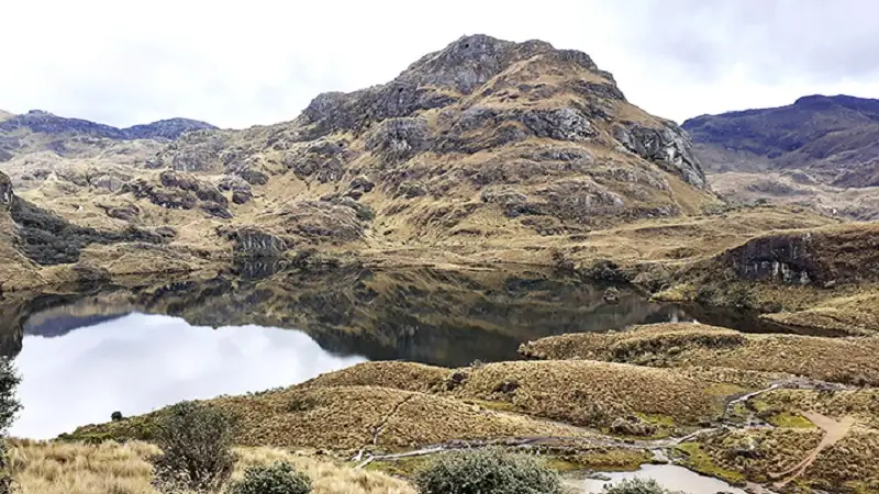 in the Cajas National Park there are a lot of lakes