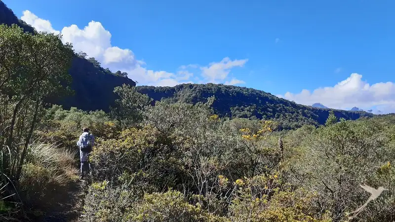 landscape around the Santa Rita reserve