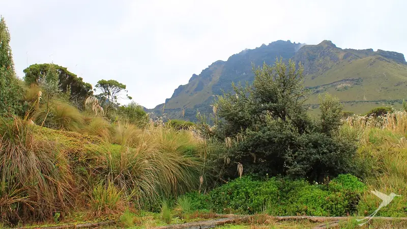 landscape around the mojanda lagoons