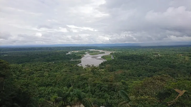 viwe over the rainforest from Mirador Indichuris