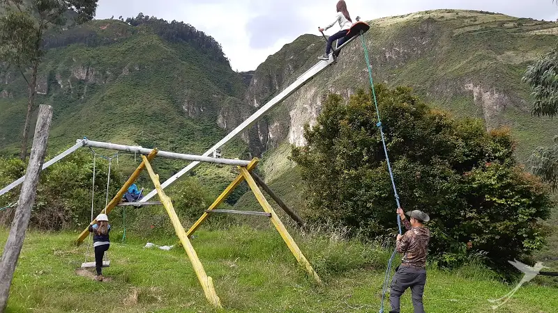 playground at the Andean bear view point