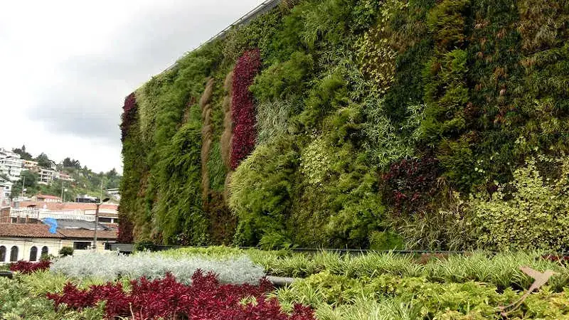 Green walls and roofs are becoming popular in quito because of the rising eological awareness.