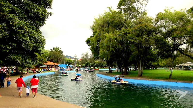 In the Carolina park you can do several activities