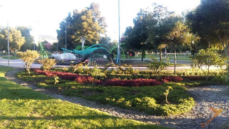 In the carolina park in quito you can find recreational areas and areas to be active.