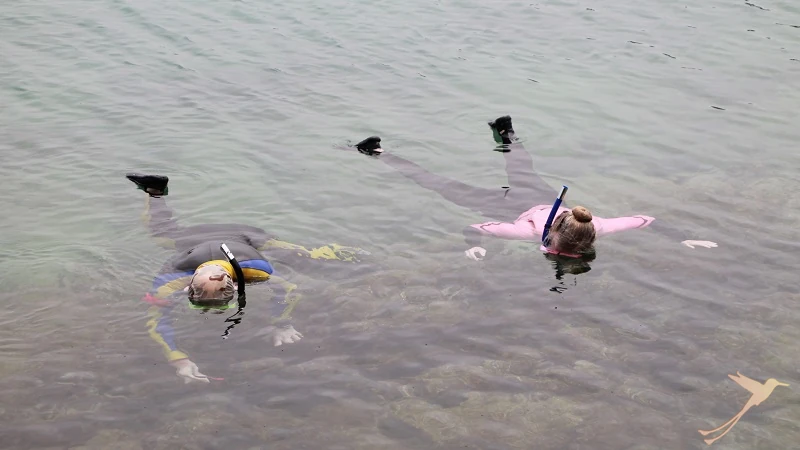 Galapagos Cruise Islands Snorkeling