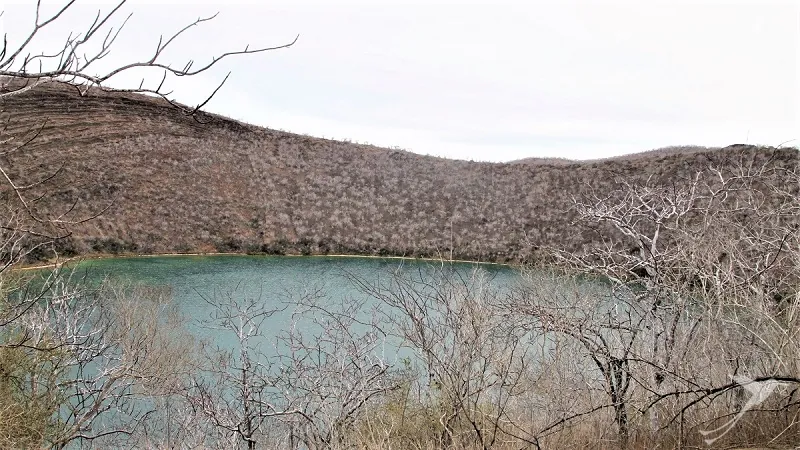 lake tagus cove on Galapagos