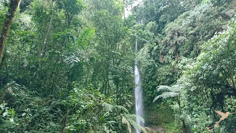 waterfall hola Vida near Puyo