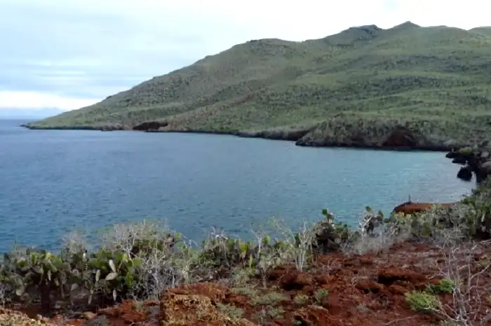 paisaje típico de la isla de la Rábida