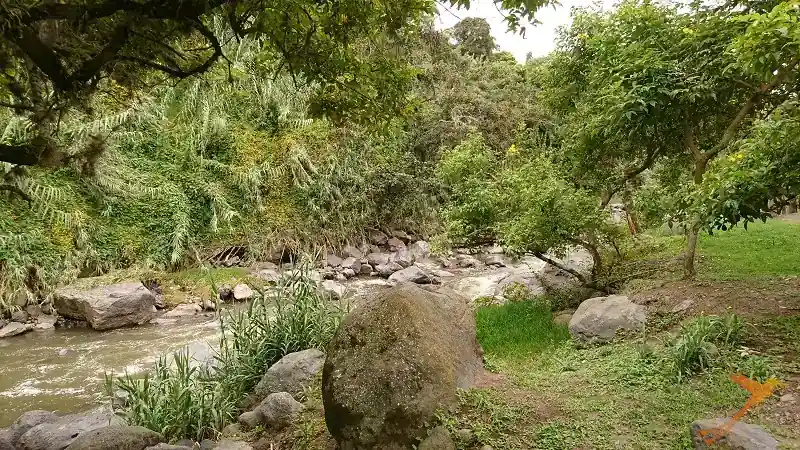 river in the Algarrobos Parc in Cumbaya