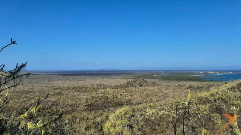 typical landscape of Isabela Island
